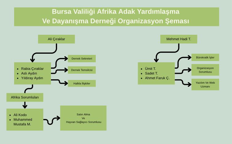 Organizasyon Şeması